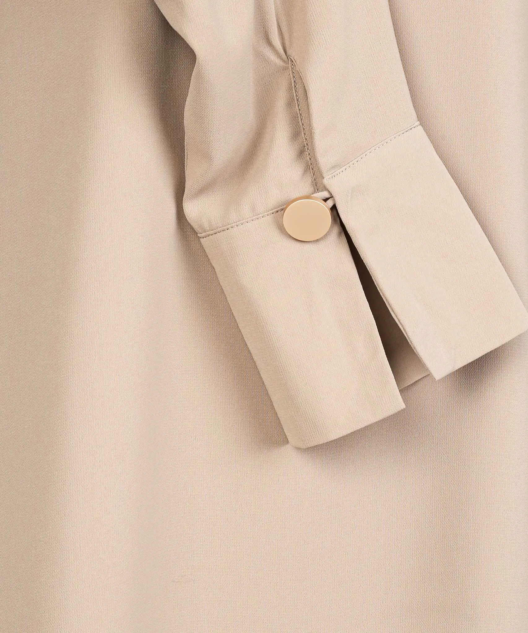 Almond Long Sleeve Basic Blouse