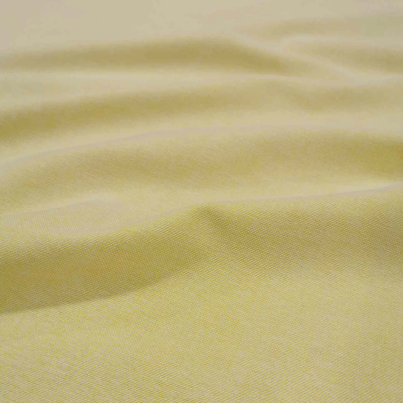 Cotton Oxford, Yellow Yarn Dyed