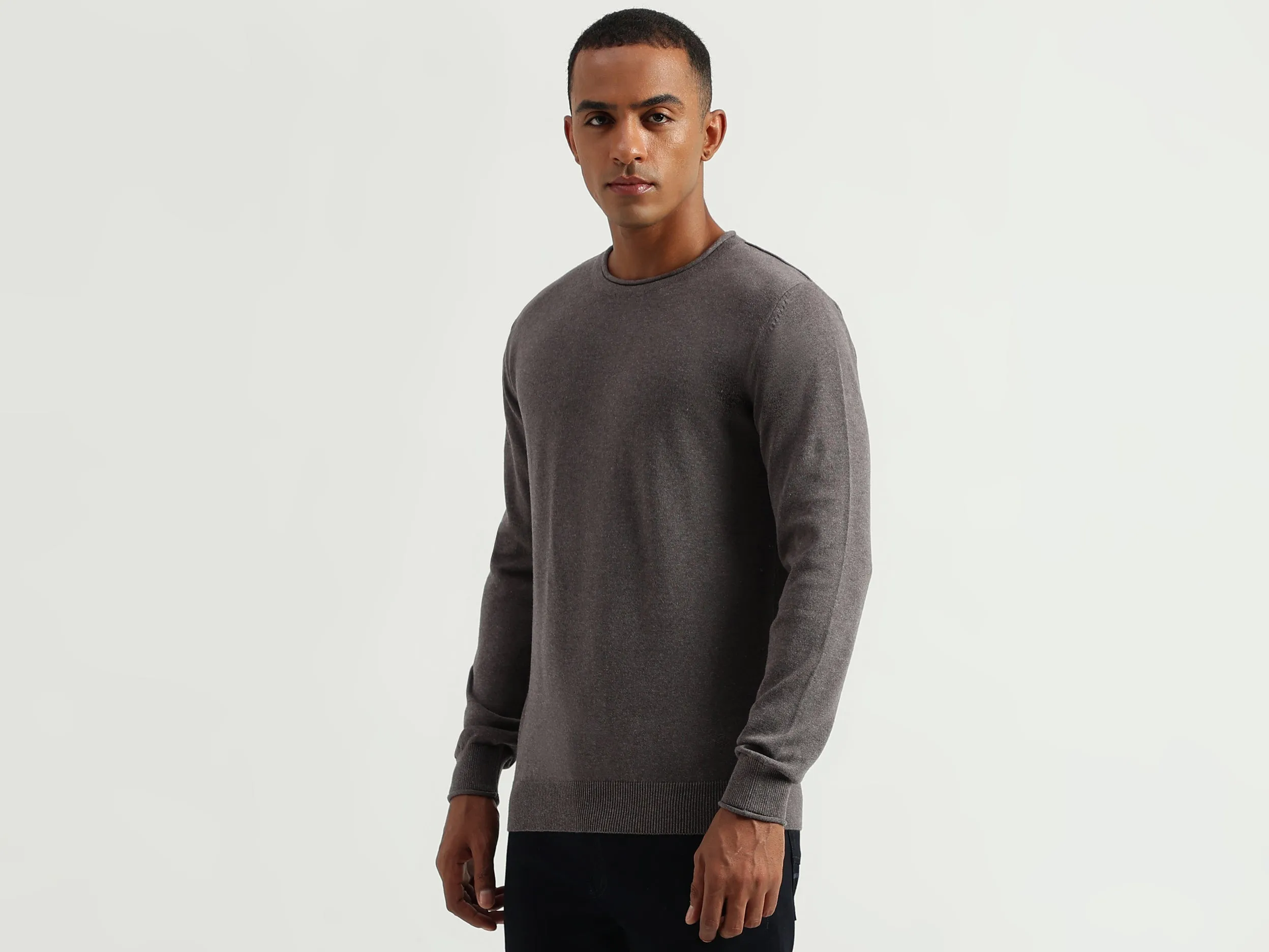 Men's Regular Fit Round Neck Solid Sweaters