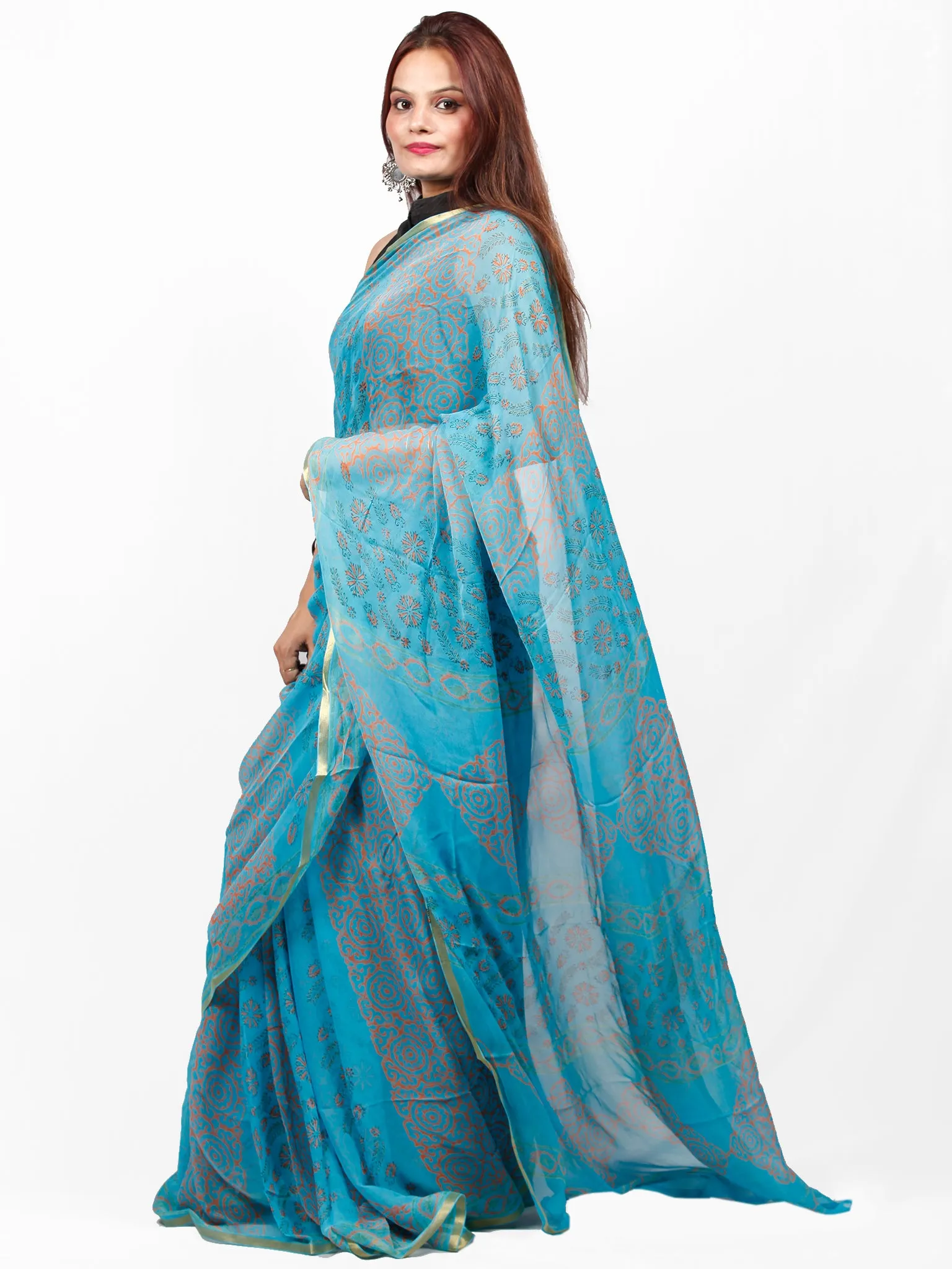 Sky Blue Coral Hand Block Printed Chiffon Saree with Zari Border - S031703418